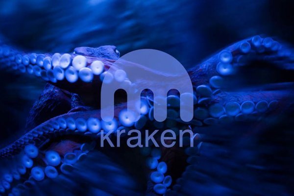 Kraken support