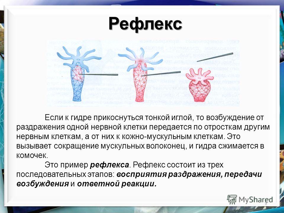 Кракен купить наркоту